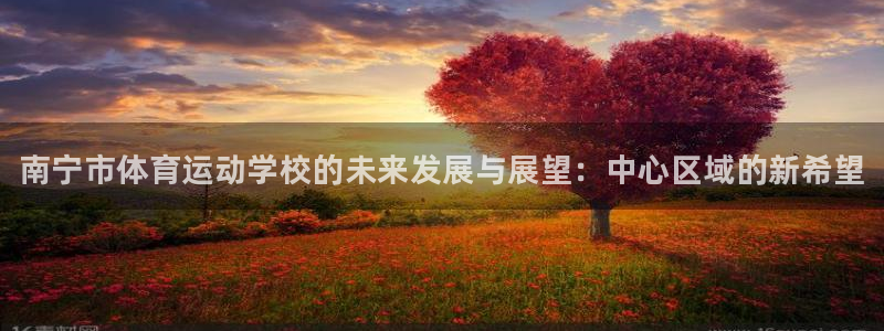 vsport体育官方正版app官方:南宁市体育运动学校的未来